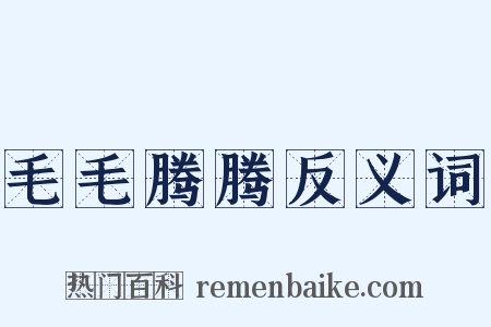 毛毛腾腾反义词是什么意思的图片